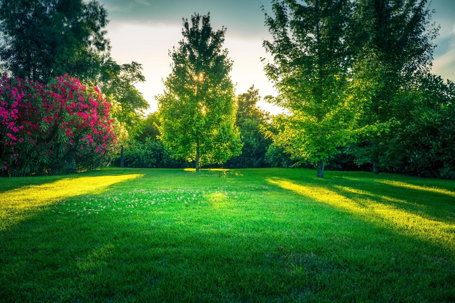 Natural background with green lawn photo