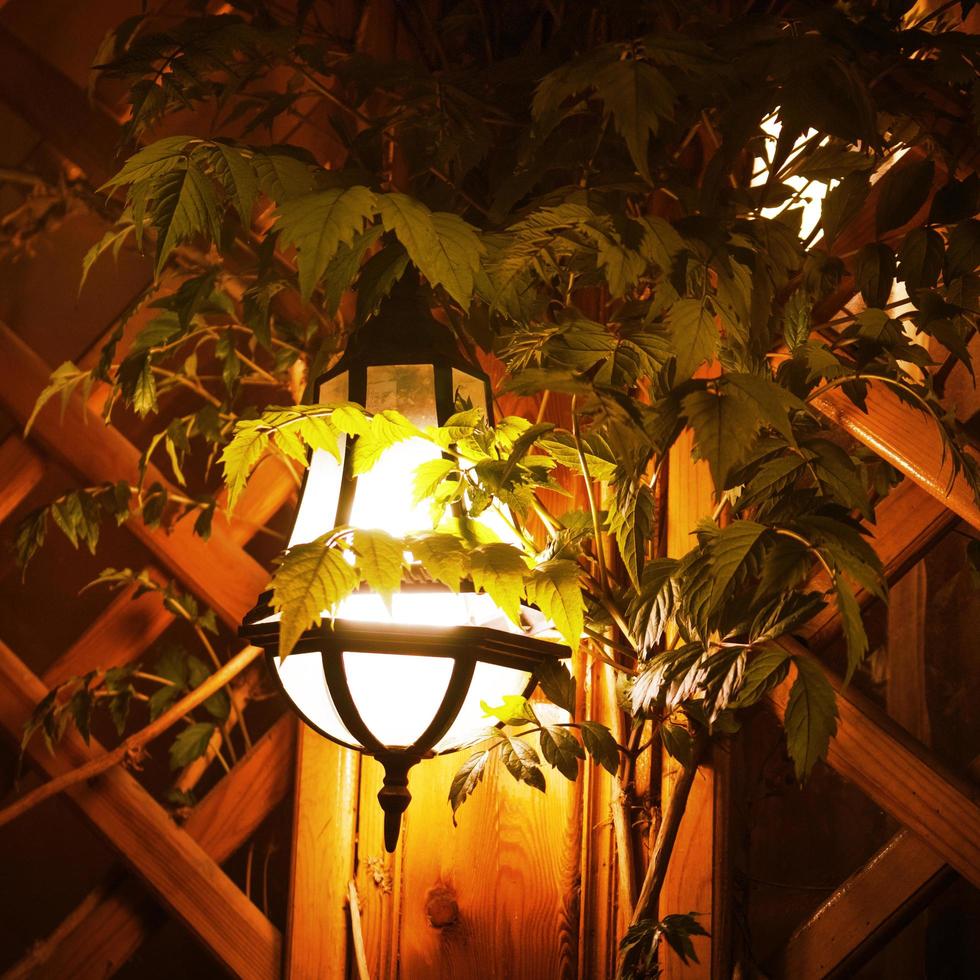 Yellow lantern on the background of the wall and leaves photo