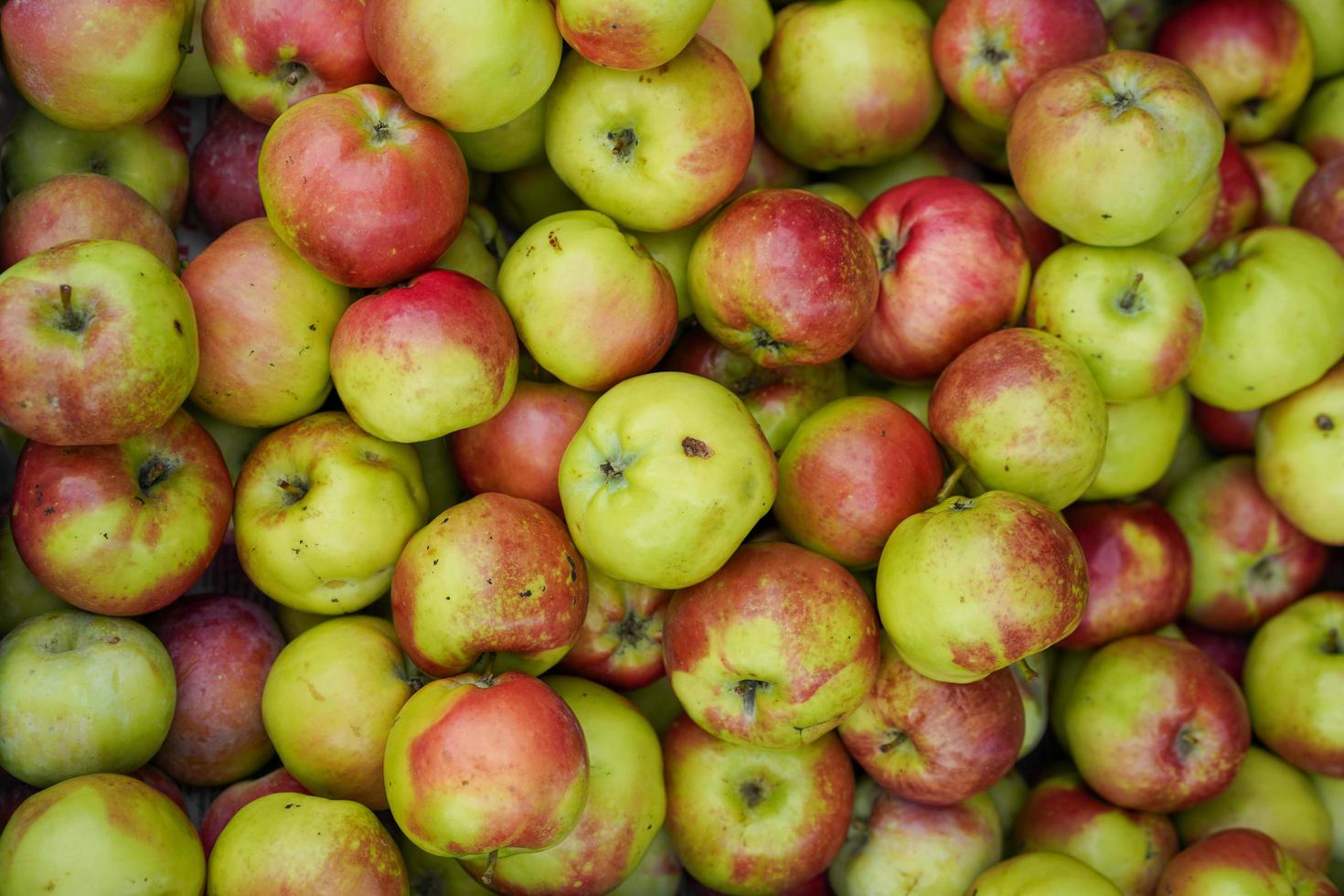 Natural background with red-green apples photo