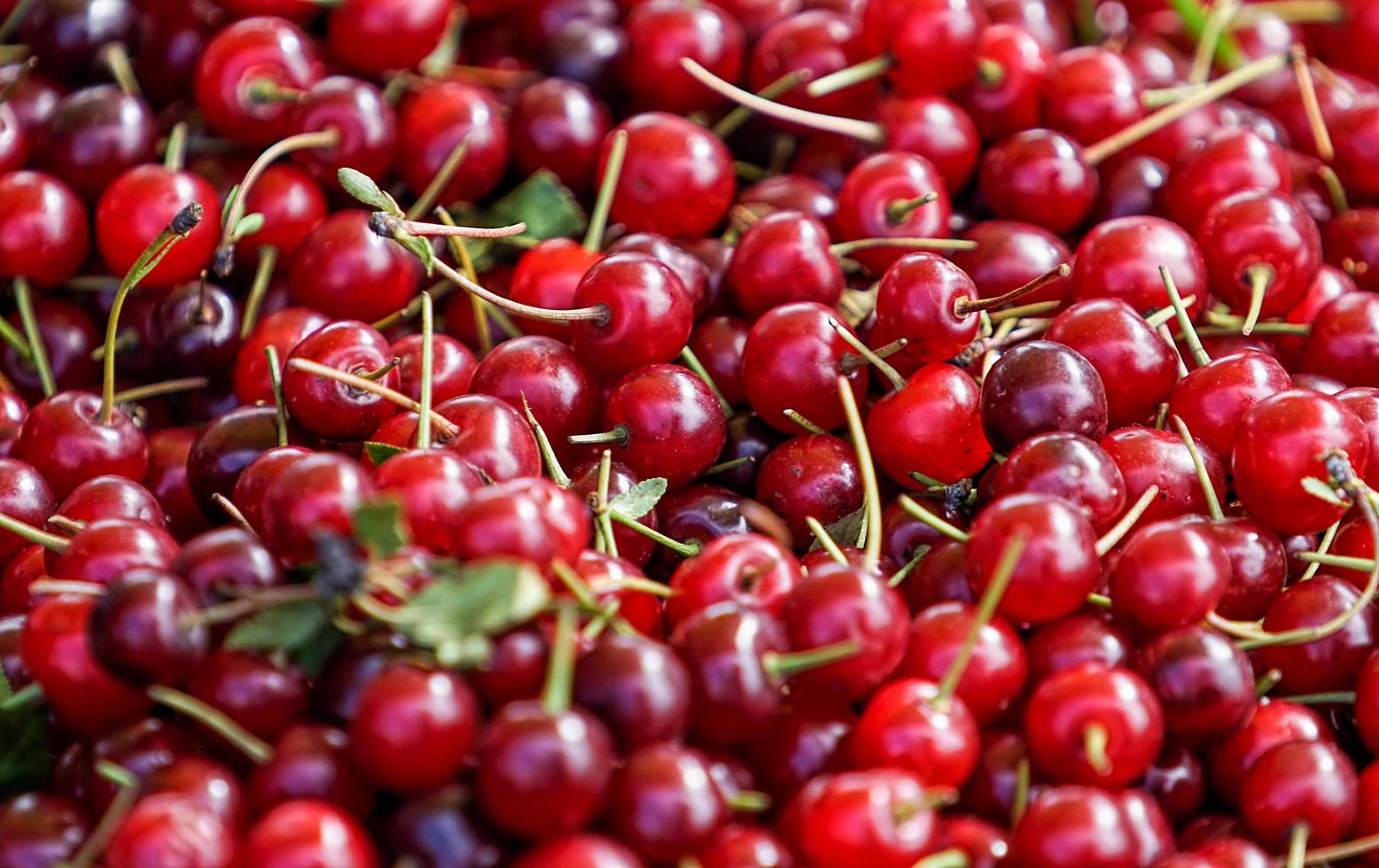 Natural background with red cherry fruits photo