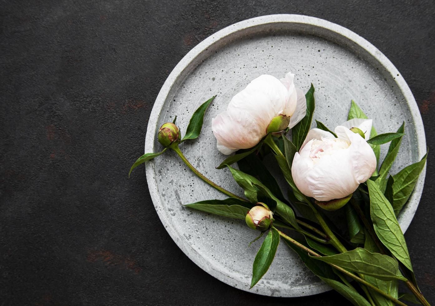 Peony flowers on a black concrete background photo