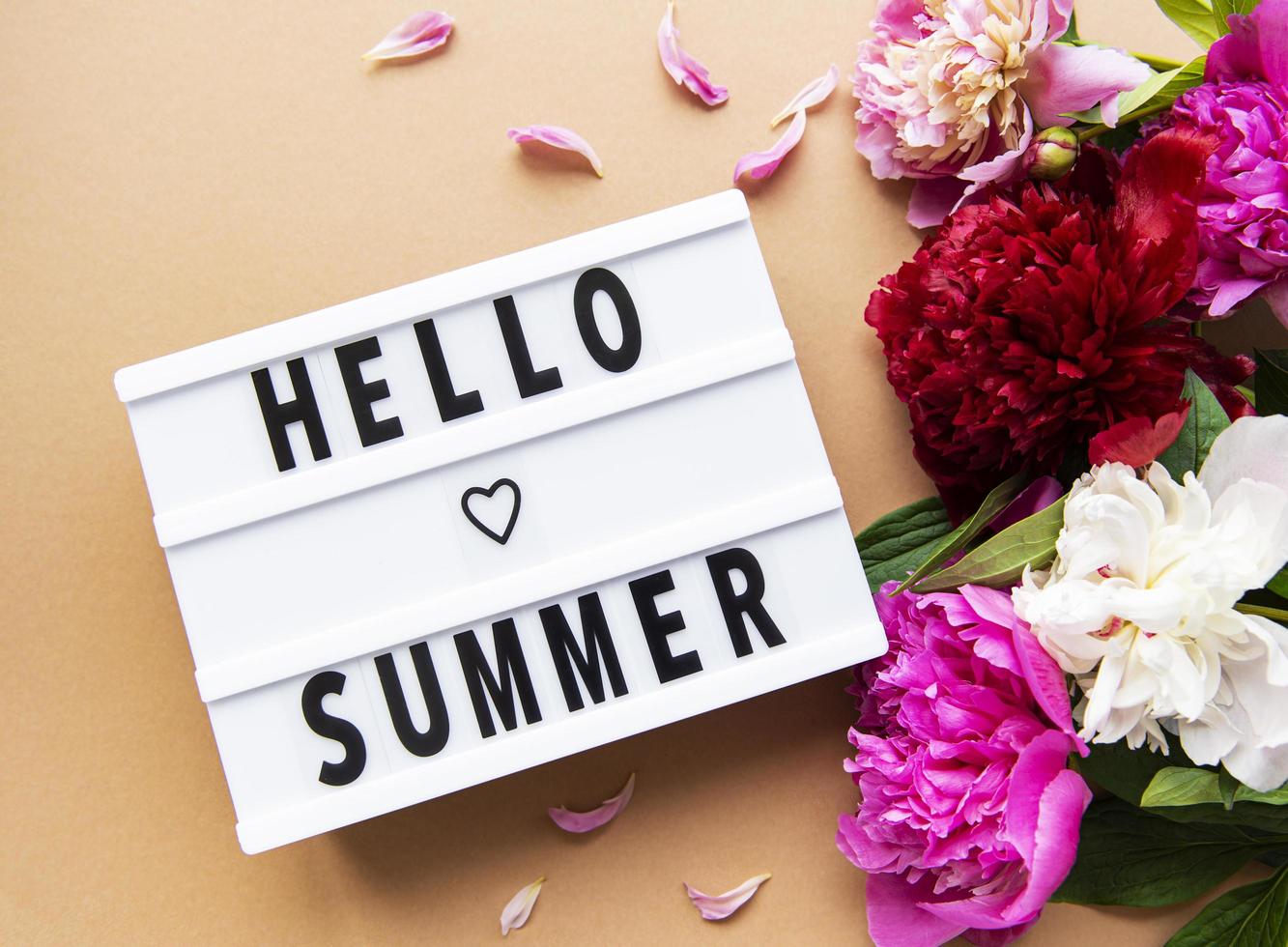 Light box with Hello Summer text and peonies photo