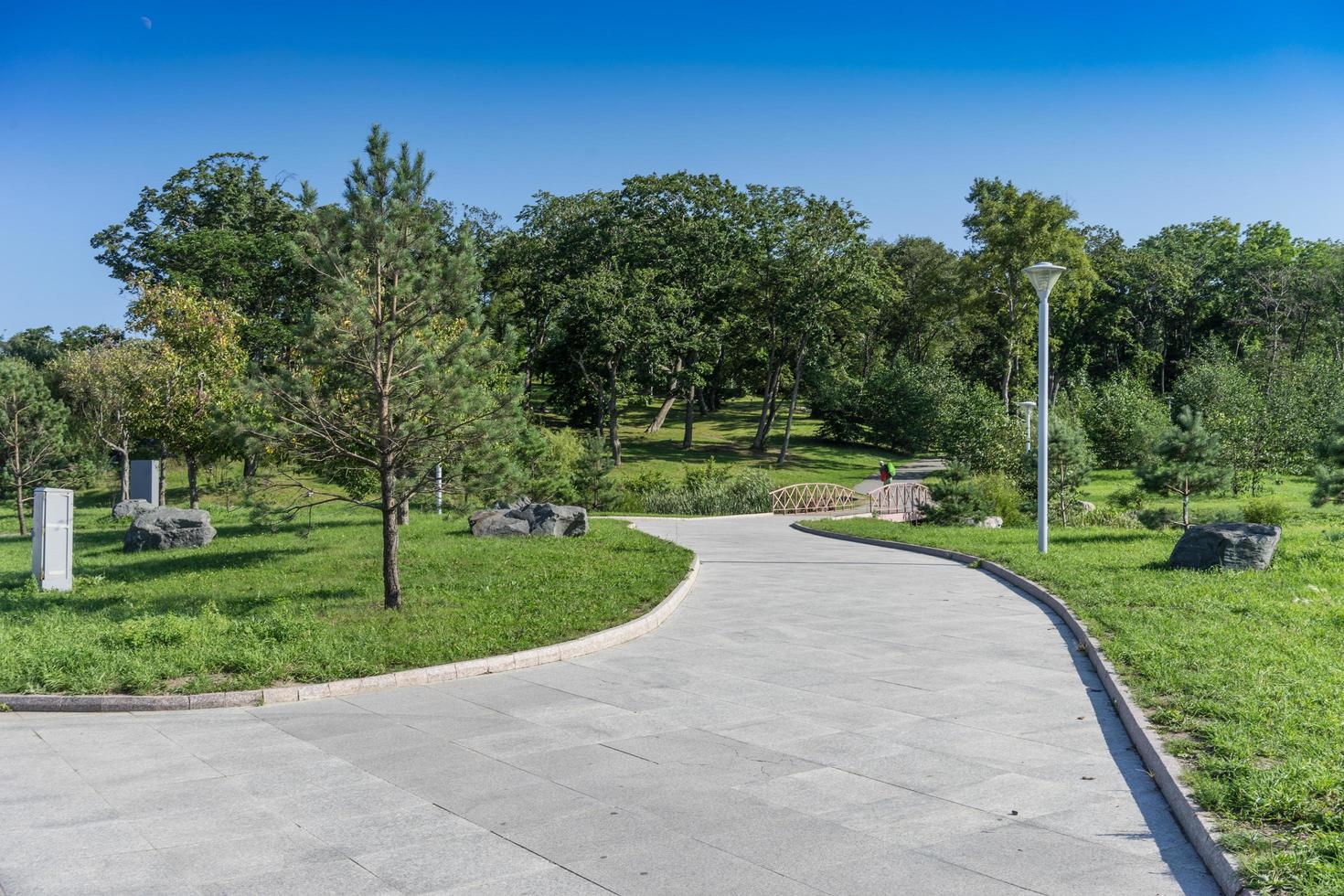 un camino en un parque moderno y bien cuidado con árboles verdes y un puente de madera foto