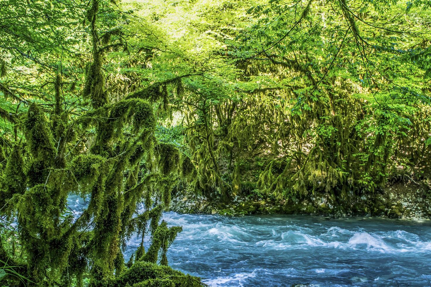 paisaje con un turbulento río de montaña. foto