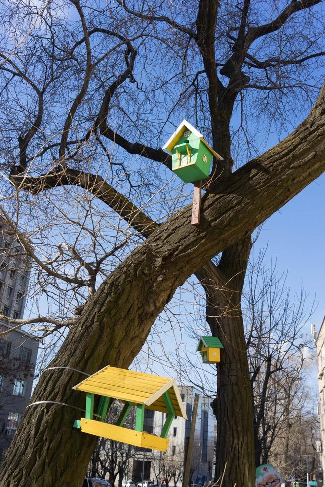 paisaje urbano con casas para pájaros en el fondo de árboles sin hojas. foto