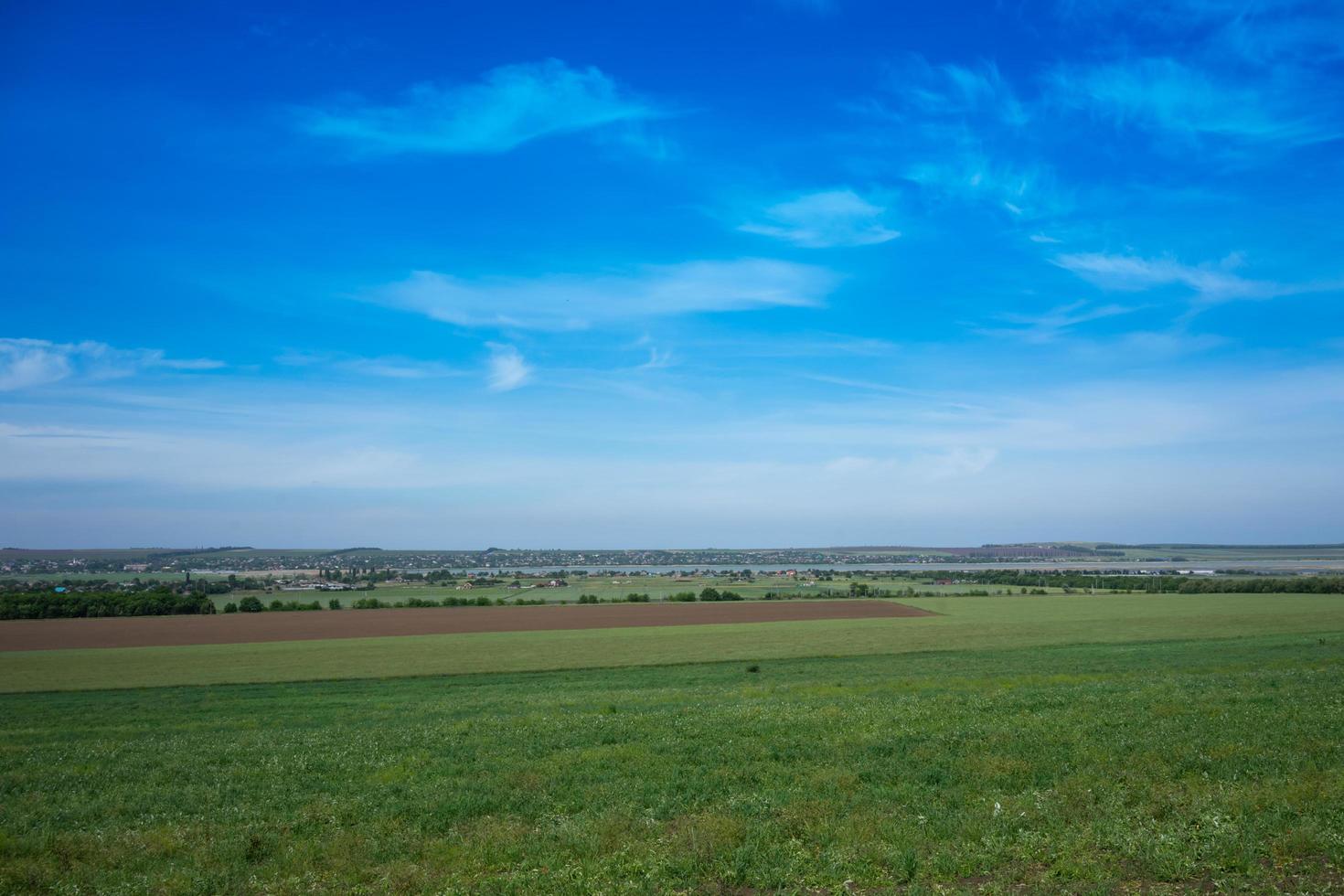 campo verde y cielo azul foto