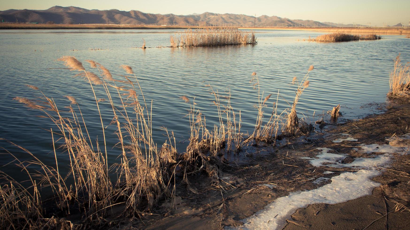 la orilla del lago está cubierta de cañas y los restos de la nieve aún no se derriten en el fondo de las colinas y el cielo foto