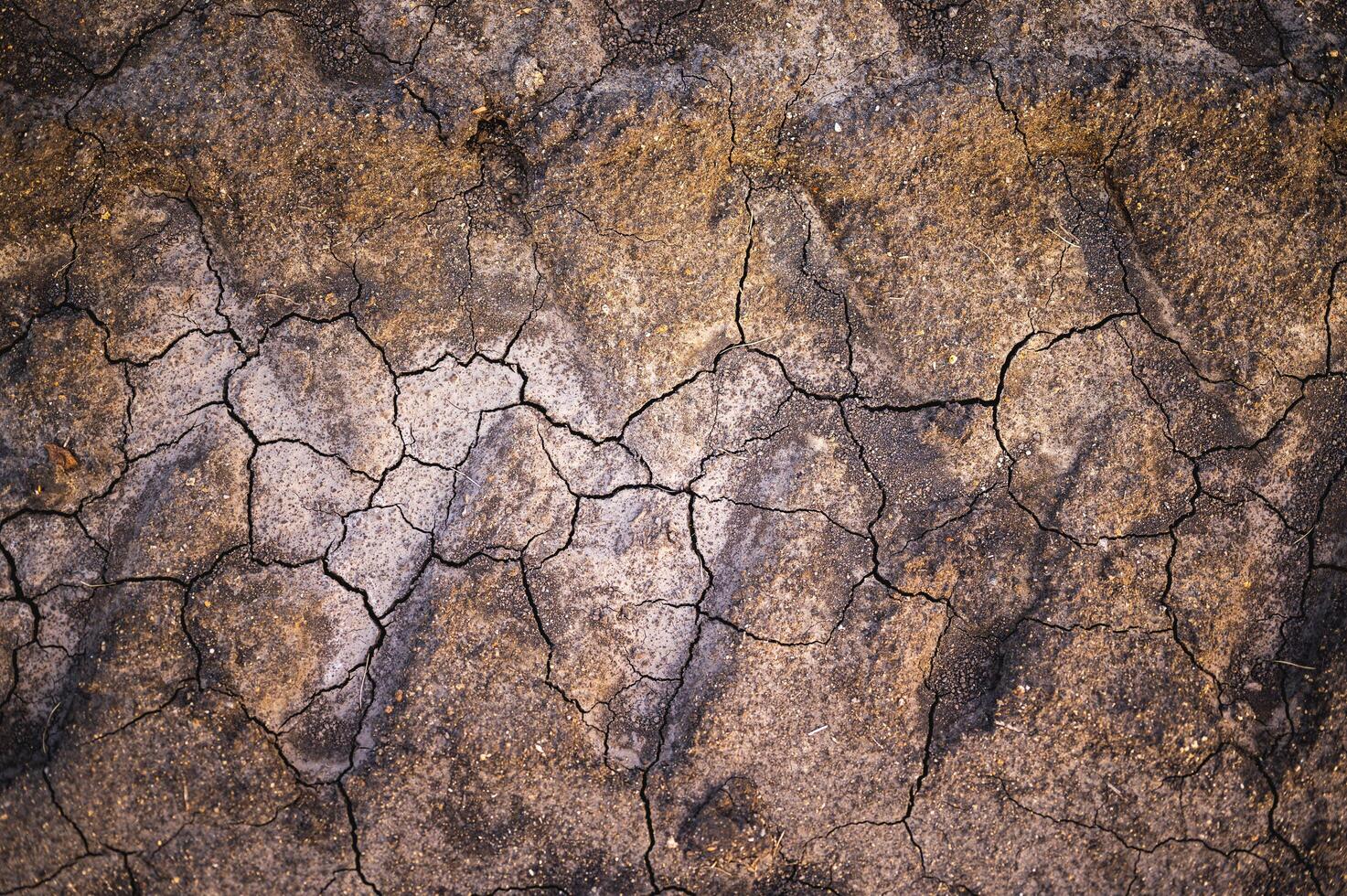 Texture of dry broken ground with tractor wheel tracks photo