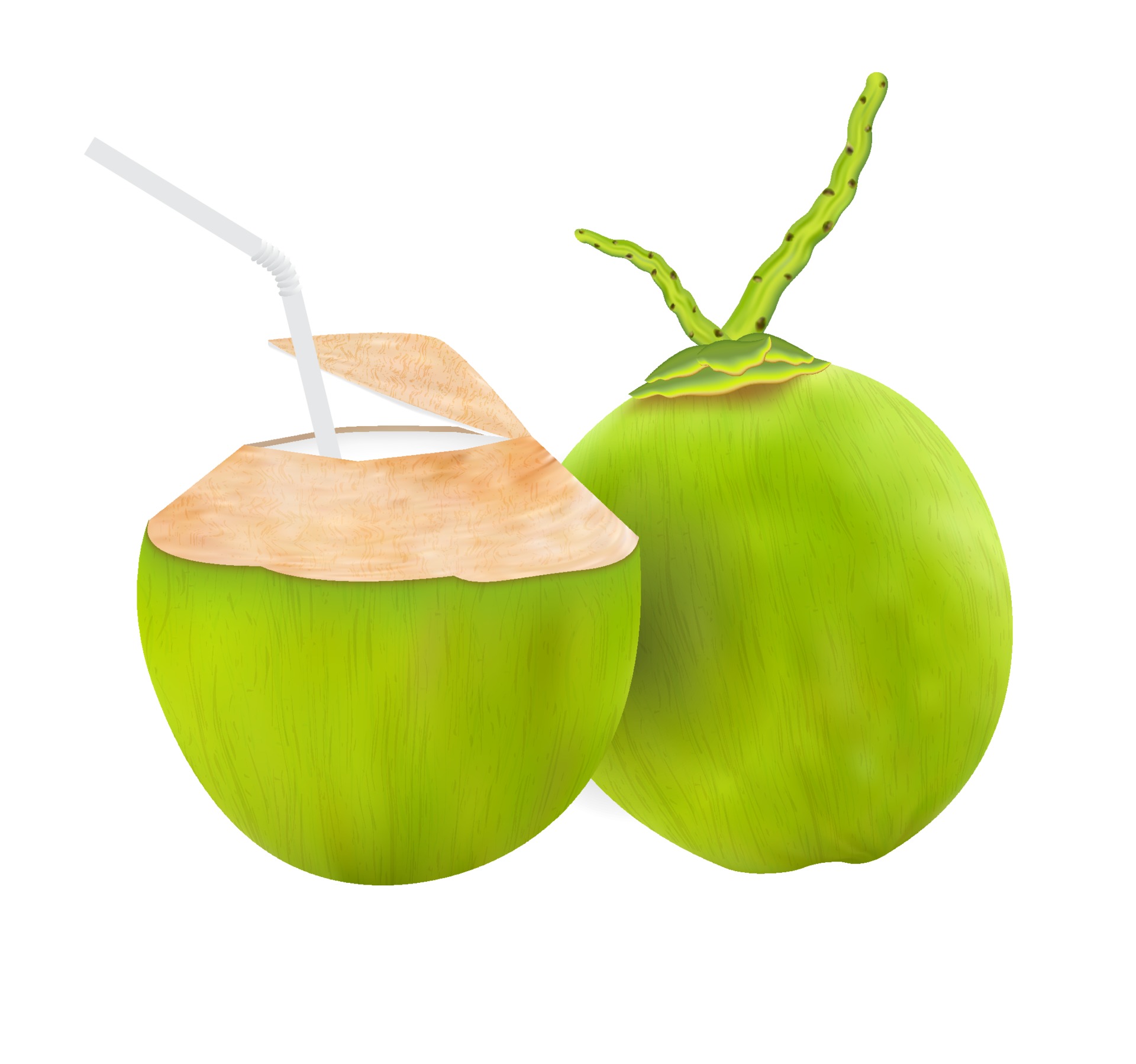 salpicaduras de coco y leche con hojas de palma. ilustración realista.  Icono de vector 3d 2290655 Vector en Vecteezy