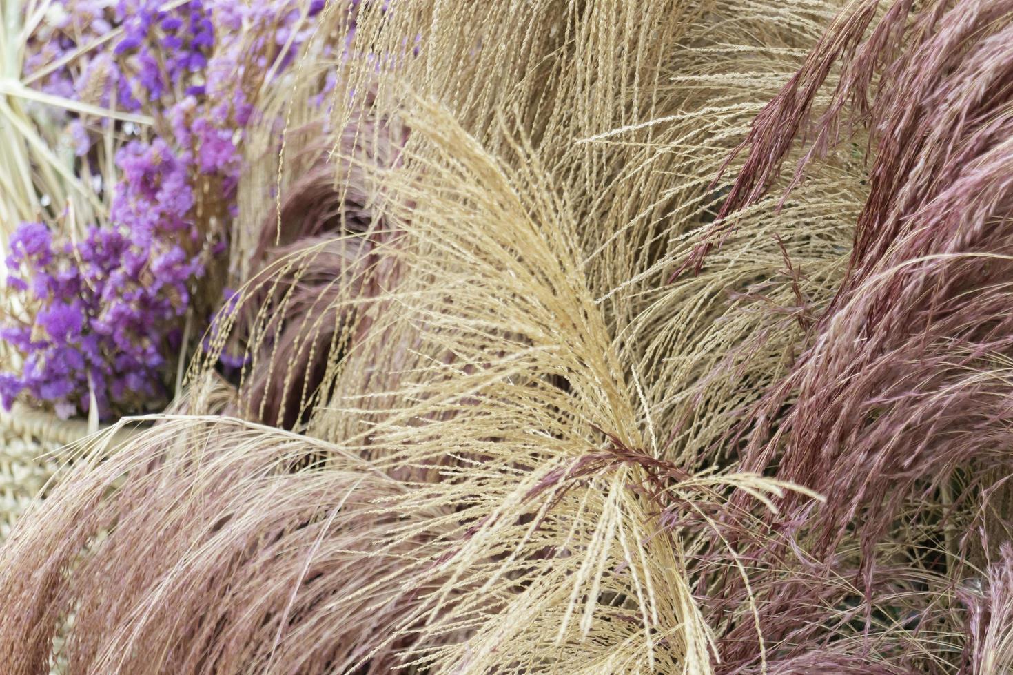 hierba y flores de colores foto