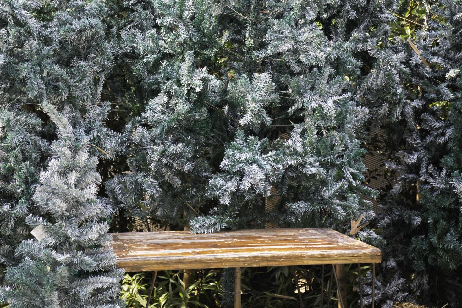 Bench with pine trees photo