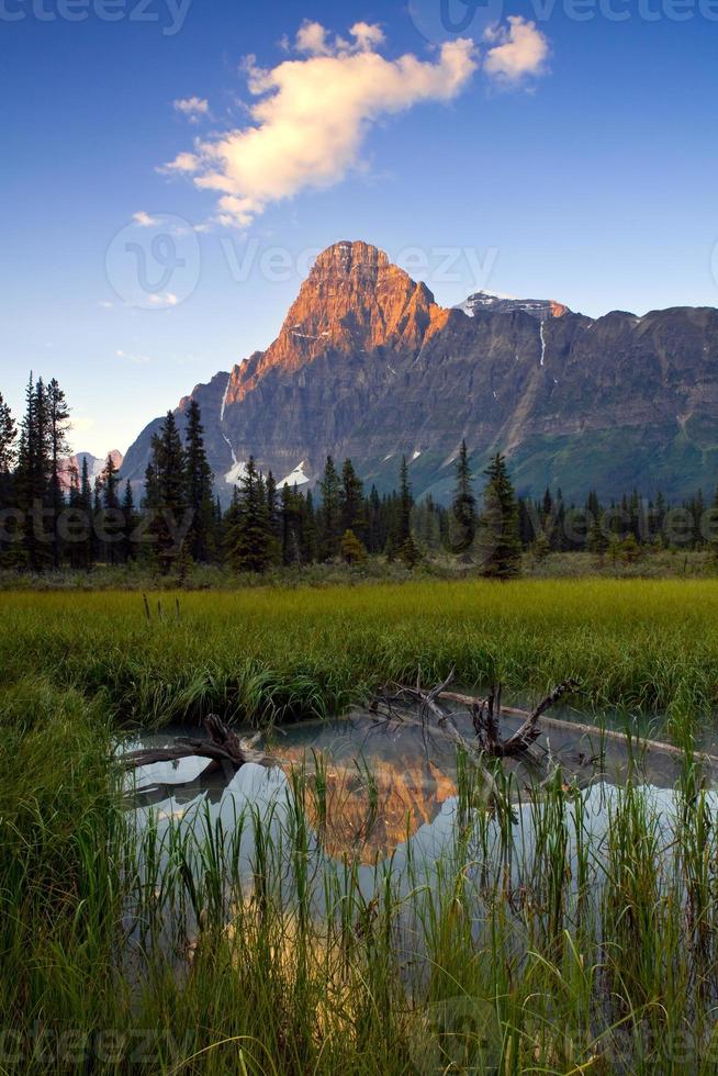 Sunrise and reflection of Mount Chephren, Banff, National Park, Alberta, Canada photo