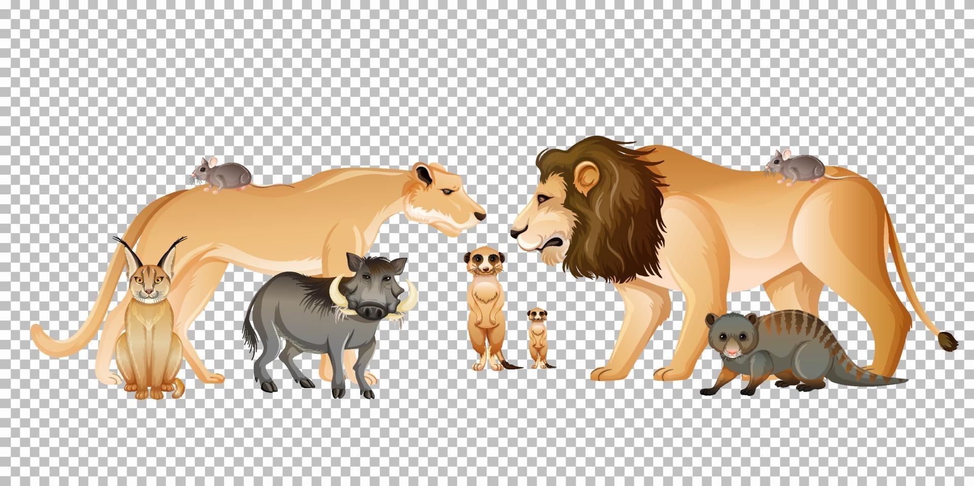 Group of wild african animals vector