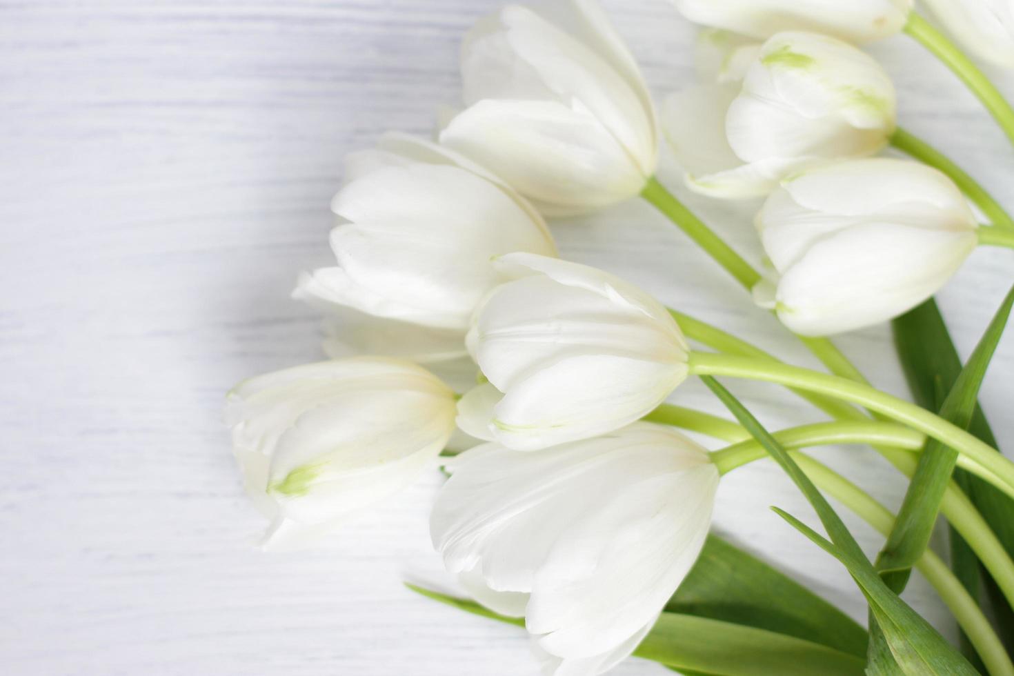 Flores de tulipán blanco sobre madera blanca foto