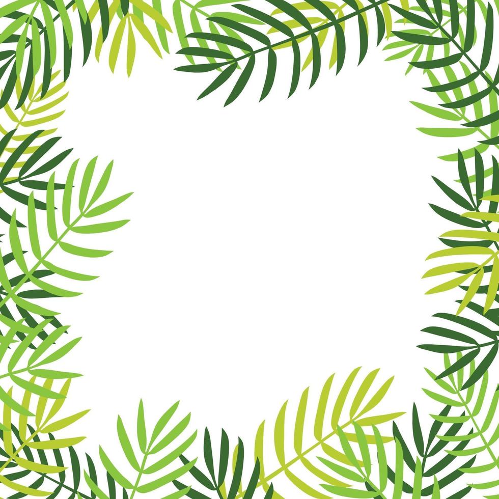 Palm leaves background vector