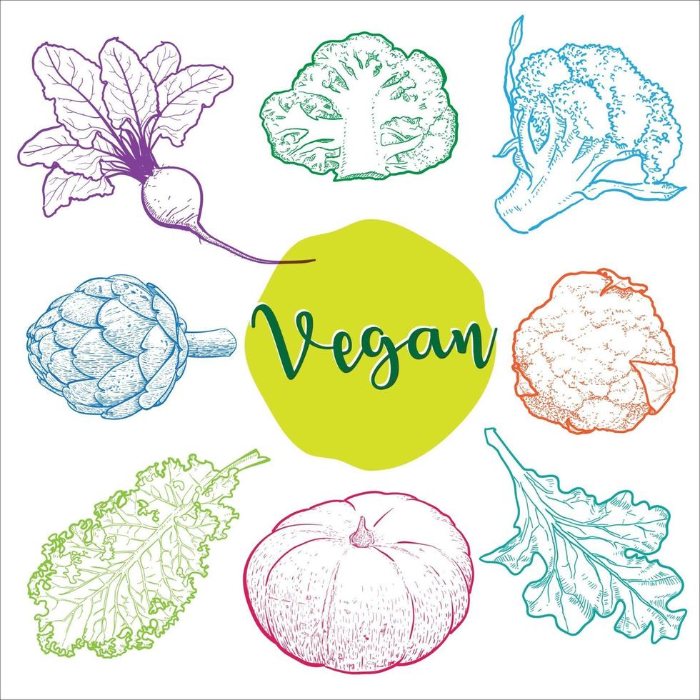 Ilustración dibujada a mano con verduras orgánicas utilizadas en colores brillantes. vector