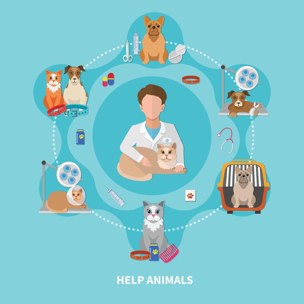 Veterinary Care Flat Poster vector