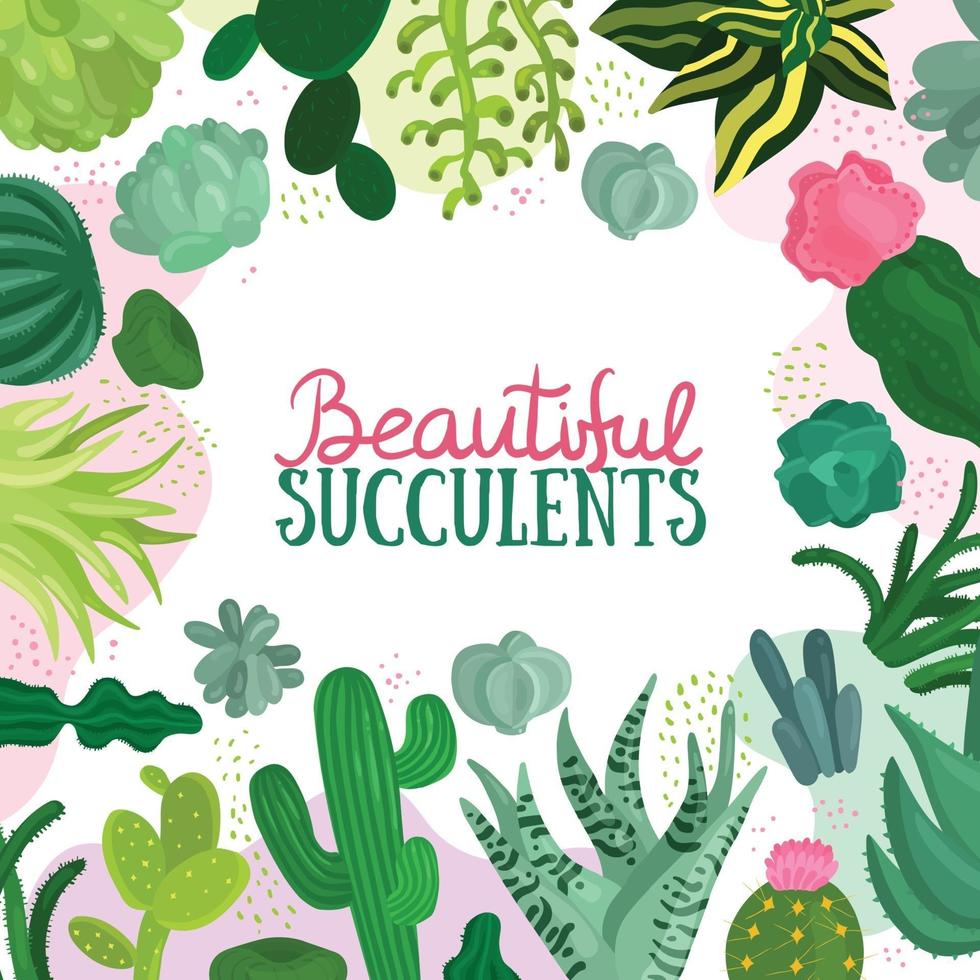 Succulents Frame Illustration Vector Illustration