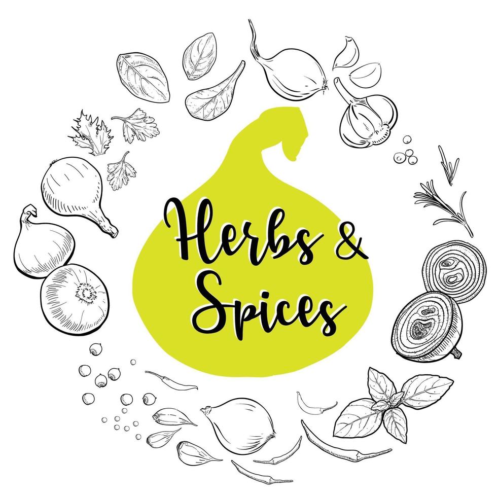 Natural herbs and spices to prepare food vector