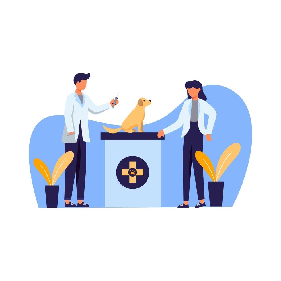 veterinarian checking a pet's health vector