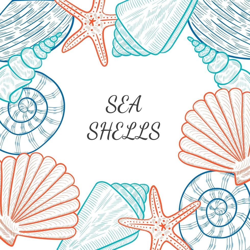 diseño de banner de conchas de mar de verano vintage. vector de fondo con conchas marinas, estrellas de mar o estrellas de mar. estilo de boceto dibujado a mano. plantilla de volante.