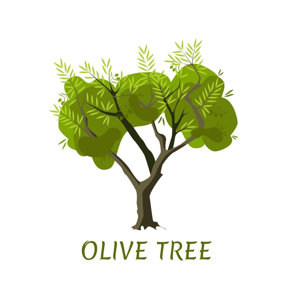 Vector Olive tree with leaves and olives