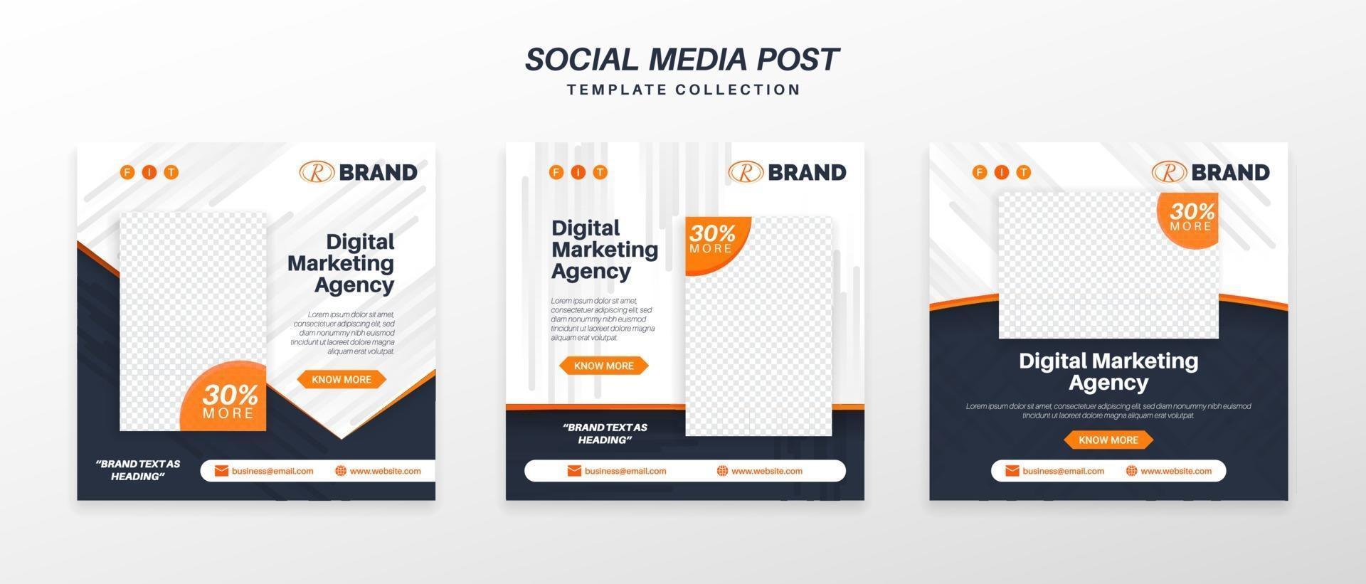 Social Media Post Template Collection Digital Marketing vector