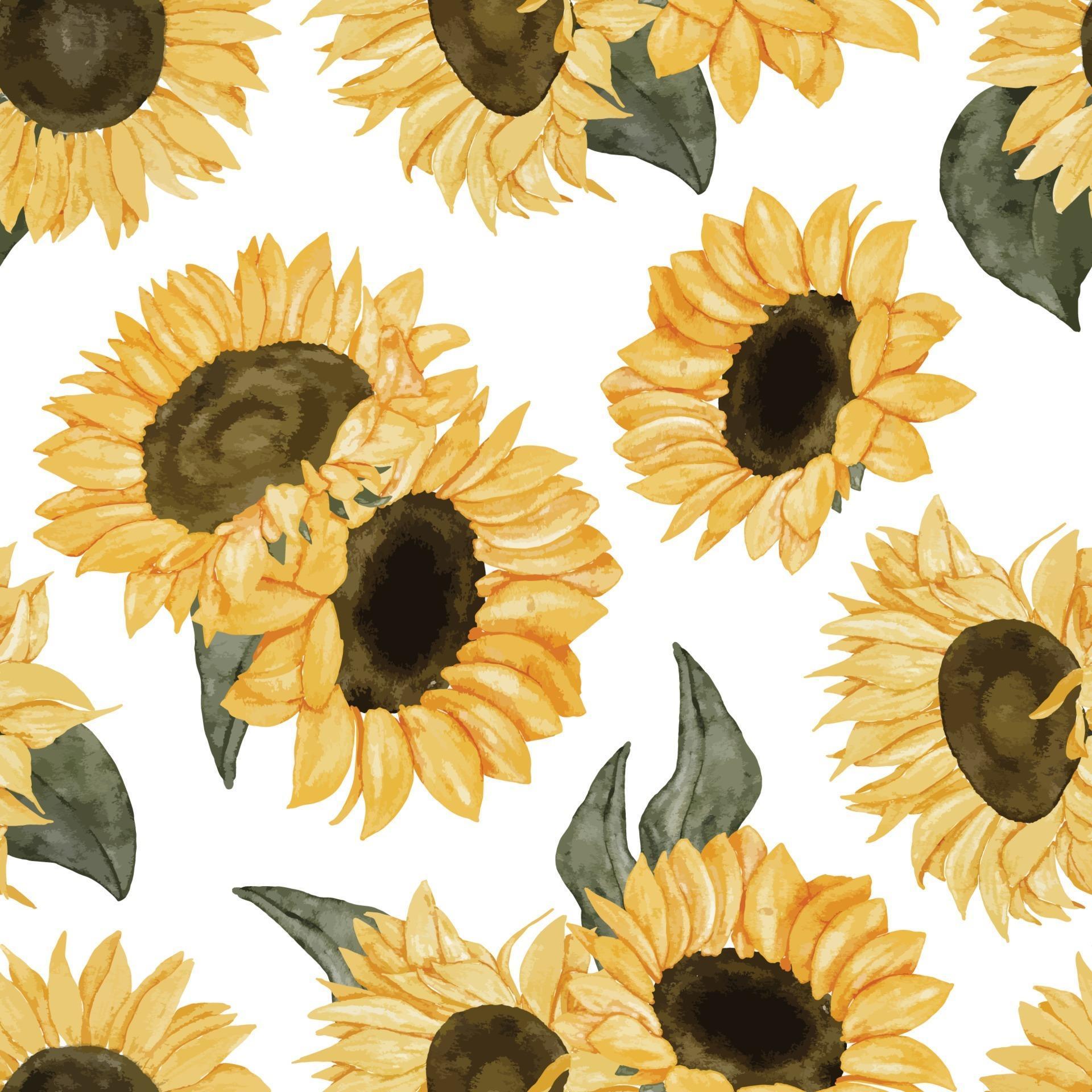 Sunflower Pattern SVG