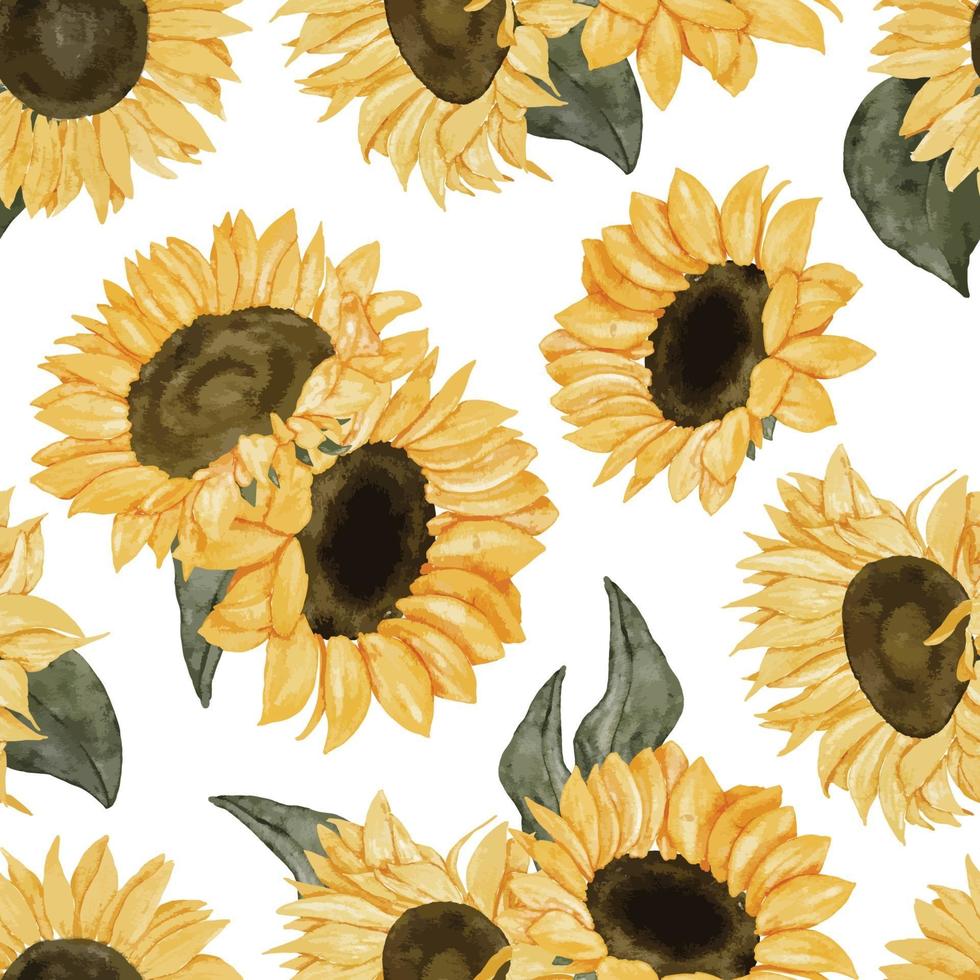 sunflower watercolor floral seamless pattern vector