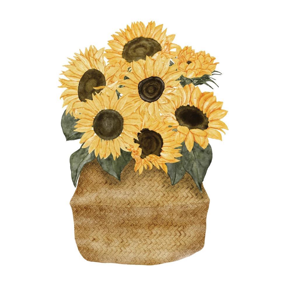 watercolor sunflower bouquet on traditional basket illustration vector
