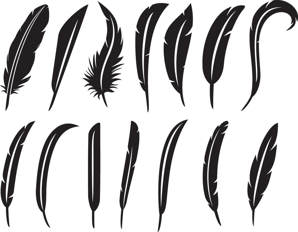 collection of feathers vector