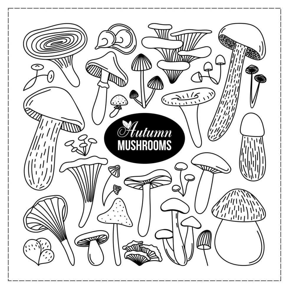 COLLECTION OF BLACK OUTLINE AUTUMN MUSHROOMS vector