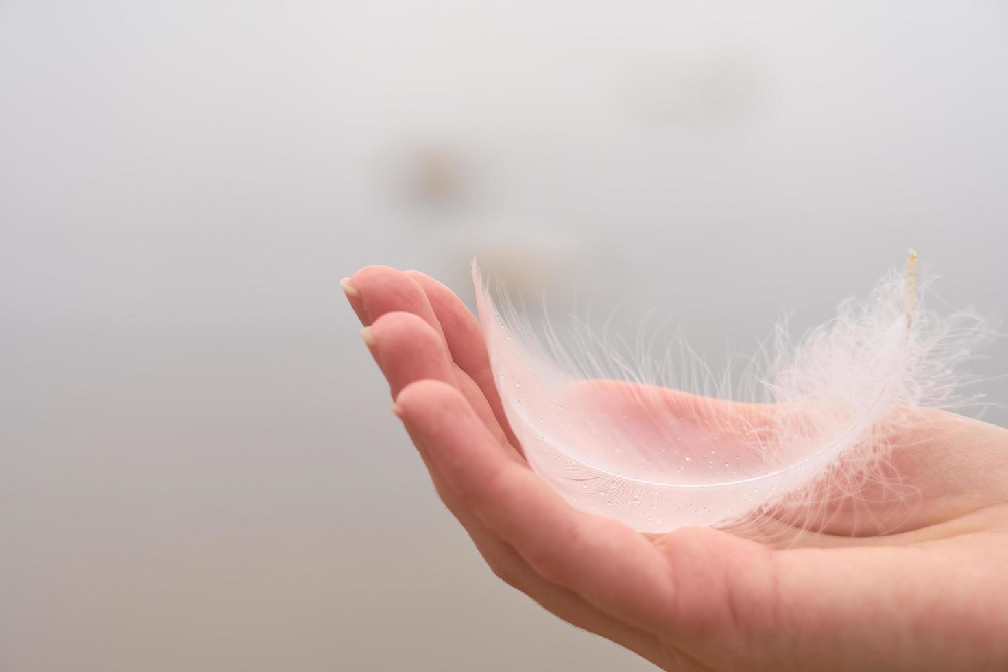 Feather in hand with copy space photo