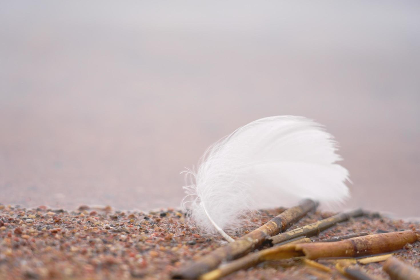 Feather and sticks on sand photo