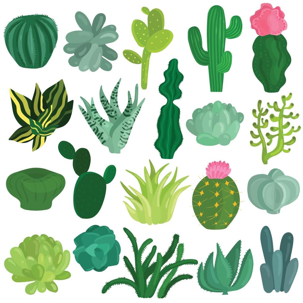 Cacti Succulents Plants Flat Set Vector Illustration