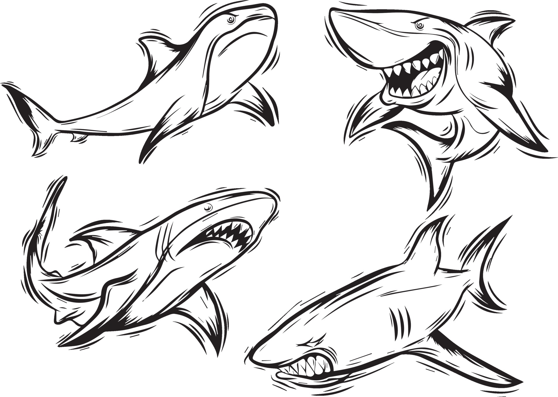 Free Free 66 Angry Shark Svg SVG PNG EPS DXF File