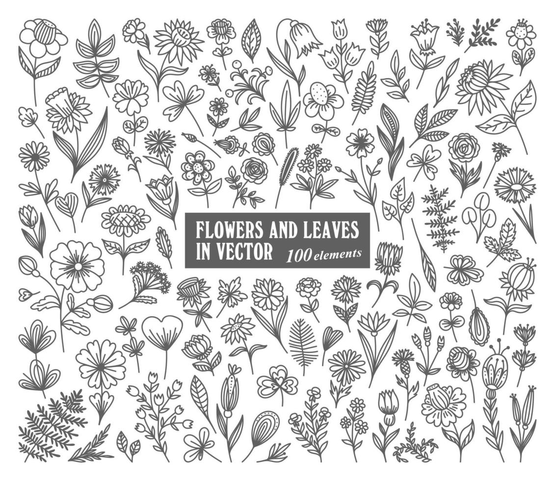 LARGE COLLECTION OF 100 PLANT ELEMENTS IN VECTOR