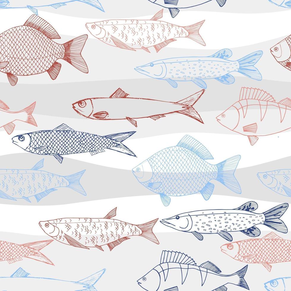 Seamless vector sketches of sea and river fish animal. Pike, carp, perch, sardine isolated fish sketch, sport or fish market theme.