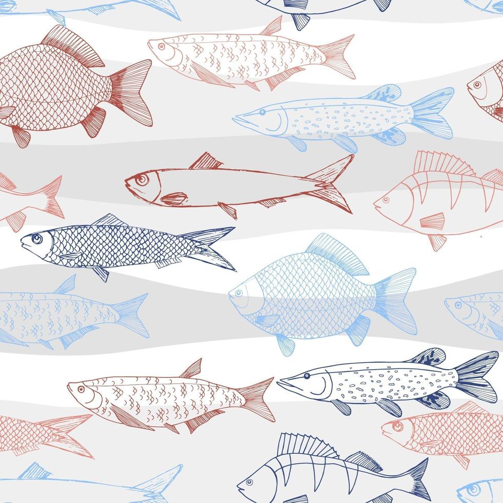 bocetos vectoriales sin fisuras de animales de peces de mar y río. lucio, carpa, perca, sardina aislado dibujo de pescado, deporte o tema del mercado de pescado. vector