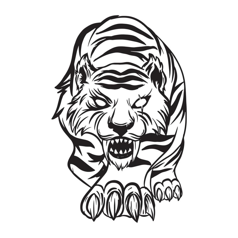 hand drawing of a tiger lurking, hunting vector illustration