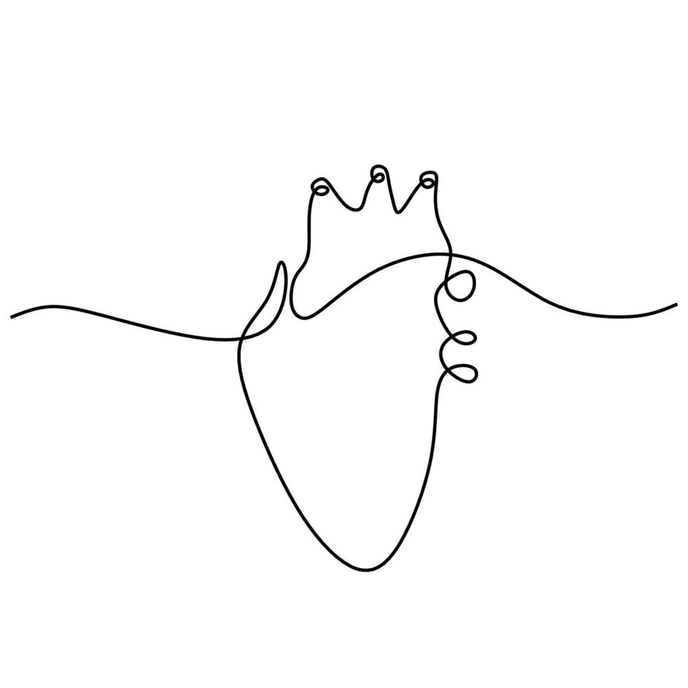 corazón humano anatómico de línea continua única. dibujo de línea continua de corazón. Ilustración de una línea de corazón. dibujo de contorno de diseño minimalista. vector