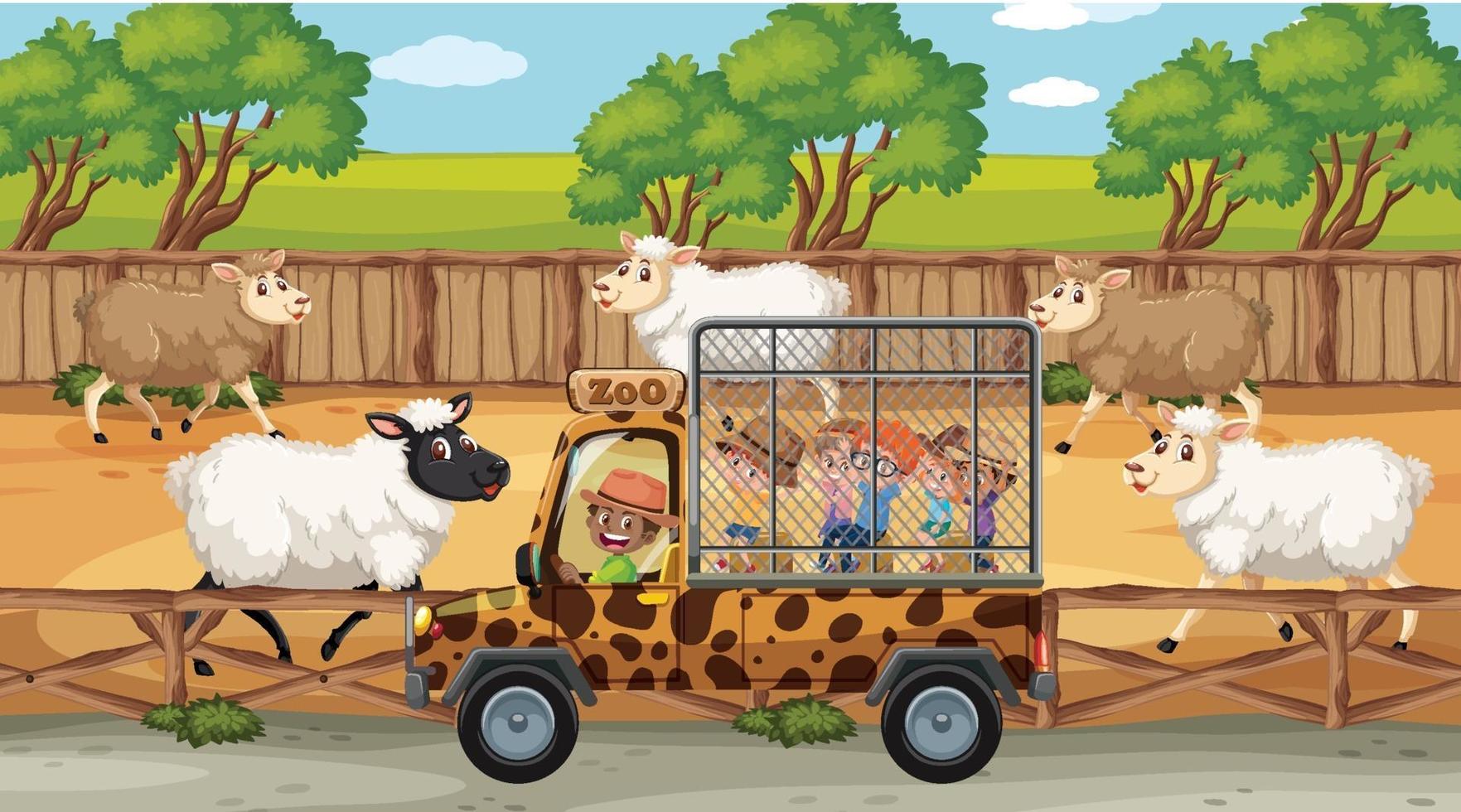 Safari scenes with many sheeps and kids cartoon character vector
