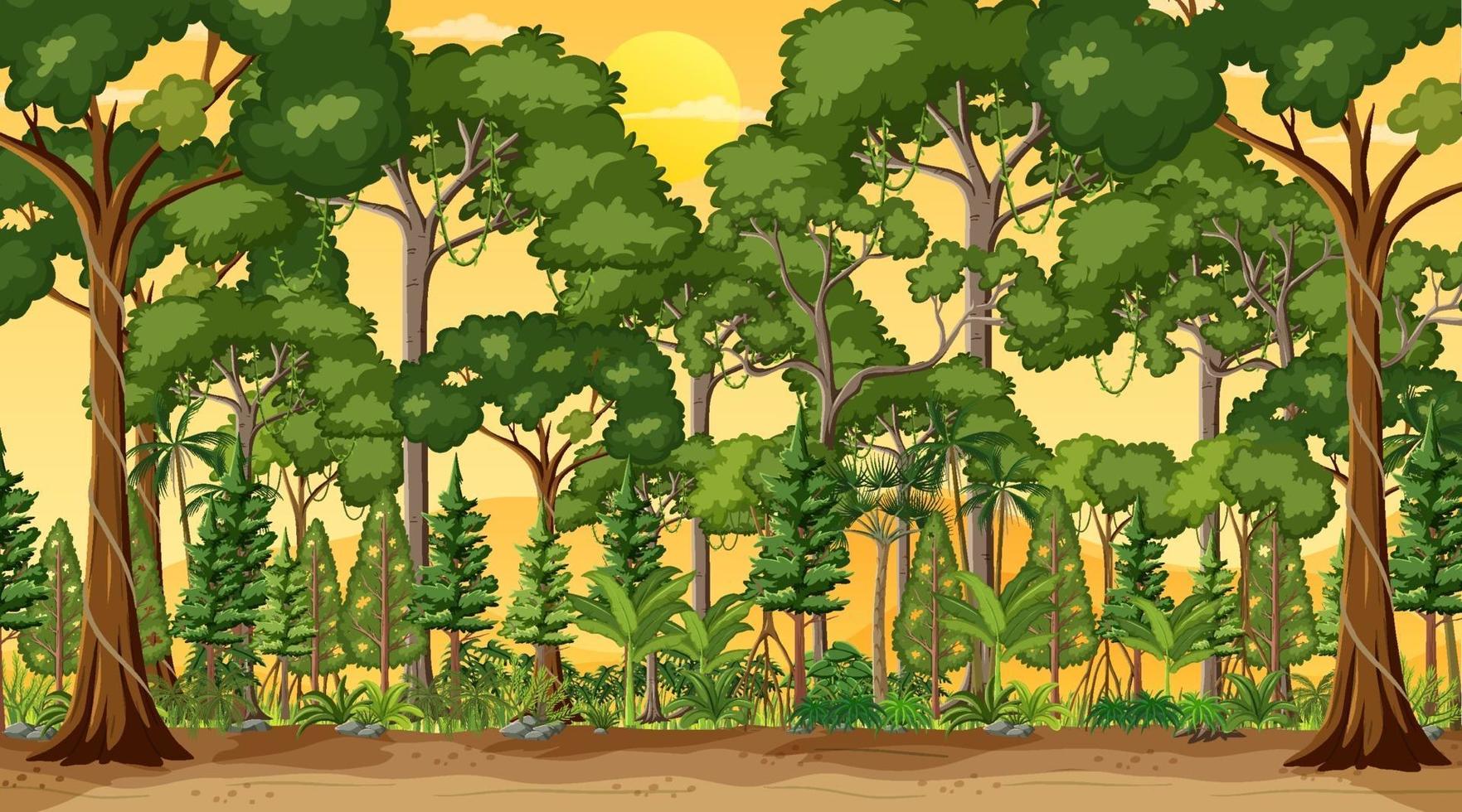 Forest landscape scene at sunset time vector