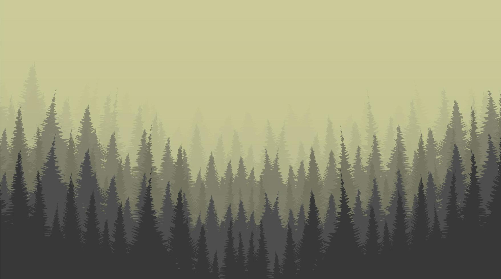 fondo de bosque de pinos brumoso vector