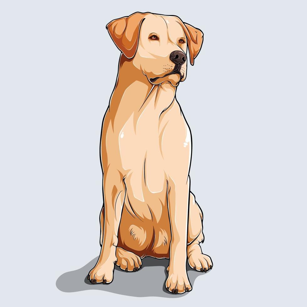 Cute beige Labrador retriever dog sitting illustrated with colorful shadows and lights isolated on white background vector