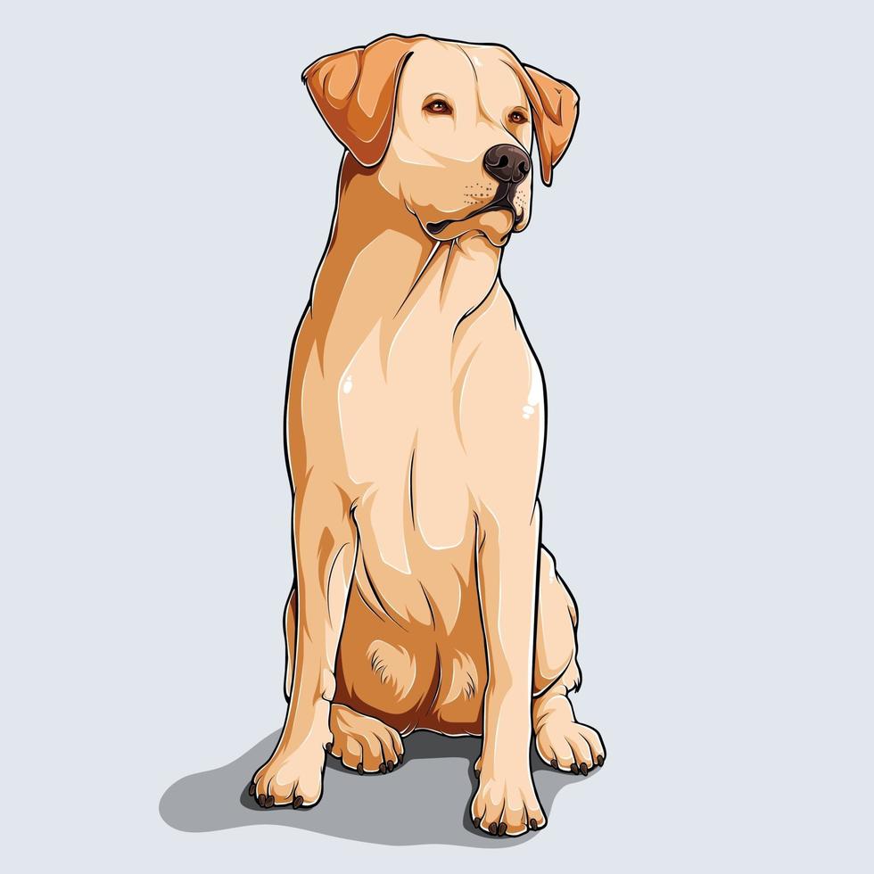 Lindo perro labrador retriever beige sentado ilustrado con sombras de colores y luces aisladas sobre fondo blanco. vector