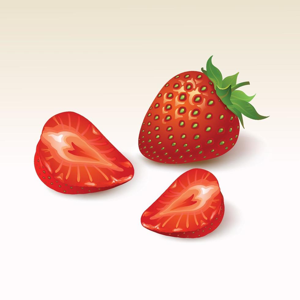 Strawberry ripe on white background vector