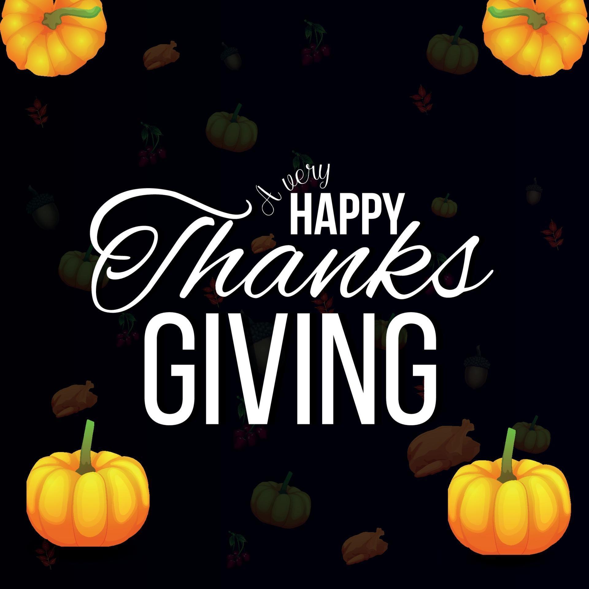 Thanksgiving holiday black friday