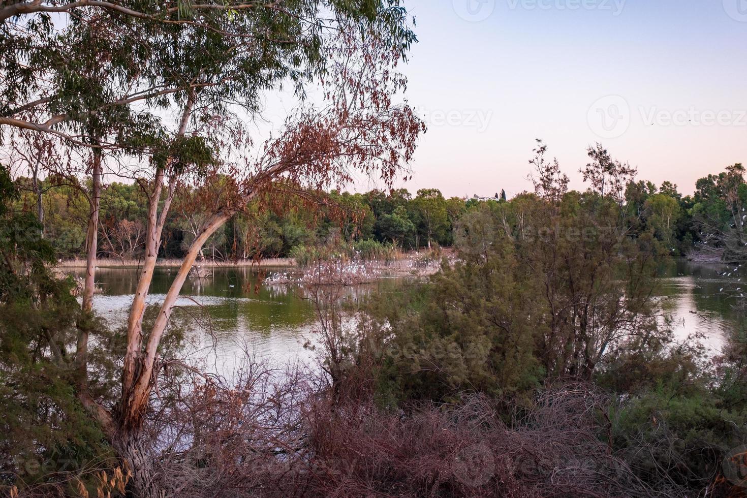 Athalassa Lake, Cyprus with beautiful reflections of the sky, trees and birds photo