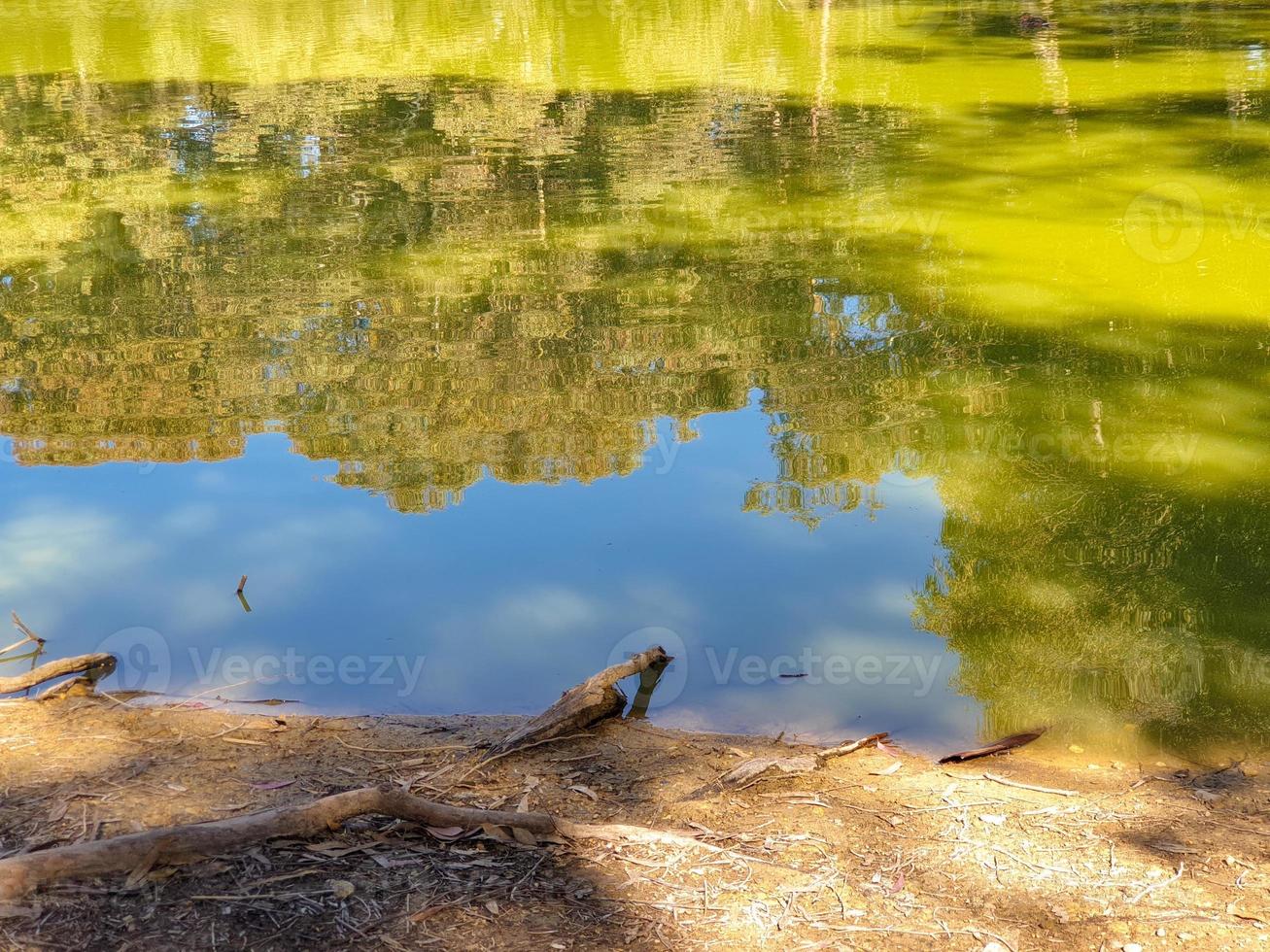 Athalassa Lake, Cyprus with beautifully lit water, and trees on a beautiful sunny afternoon photo